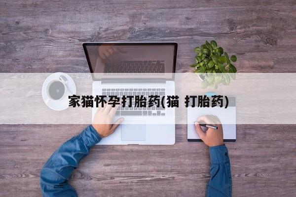 意外怀孕不想要打胎药微信购买家猫怀孕打胎药(猫 打胎药)